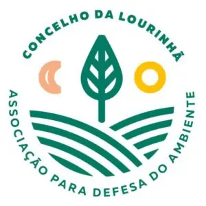 Quotas de Sócio 2026